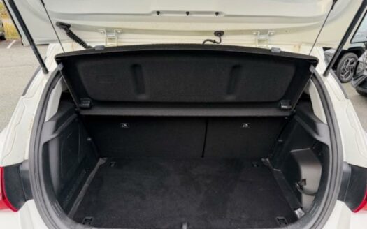 i20 1.0 T-GDi 100ch Hybrid Business