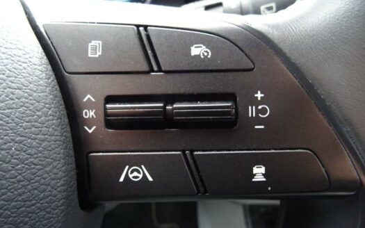 Bayon 1.0 T-GDi 100ch Hybrid 48V Executive DCT-7